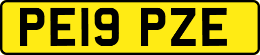PE19PZE