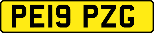 PE19PZG