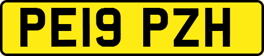 PE19PZH
