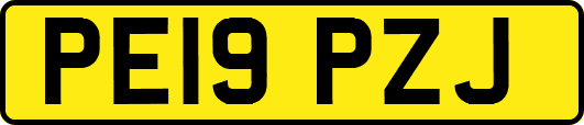 PE19PZJ