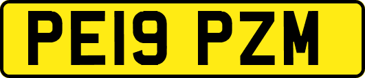 PE19PZM
