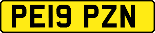 PE19PZN