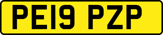 PE19PZP
