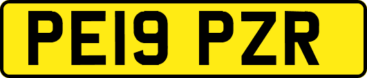 PE19PZR