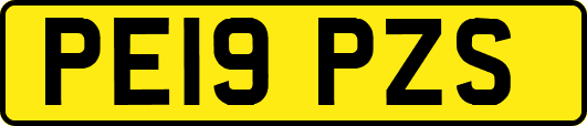 PE19PZS