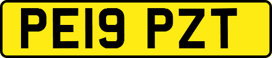 PE19PZT