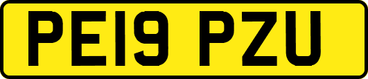 PE19PZU