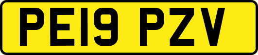 PE19PZV