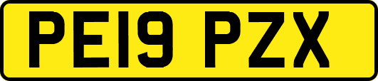 PE19PZX