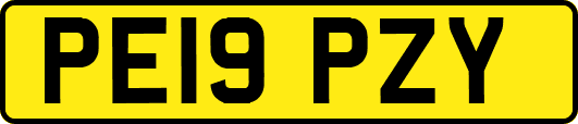 PE19PZY
