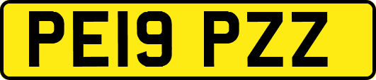 PE19PZZ