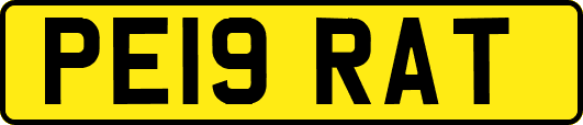 PE19RAT