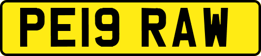 PE19RAW