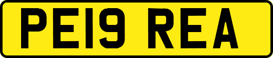 PE19REA