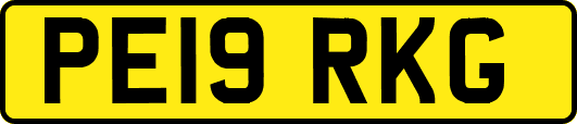 PE19RKG