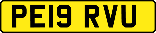 PE19RVU