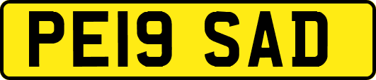 PE19SAD