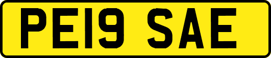 PE19SAE