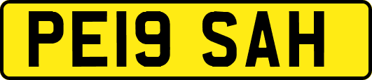 PE19SAH