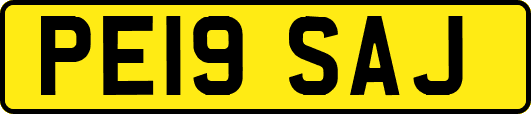 PE19SAJ