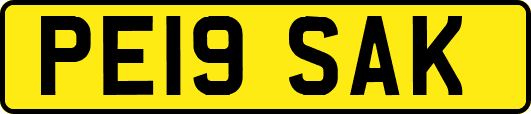 PE19SAK