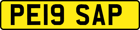 PE19SAP