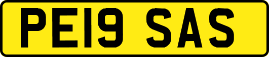 PE19SAS