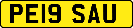 PE19SAU