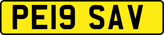 PE19SAV