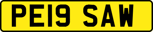 PE19SAW