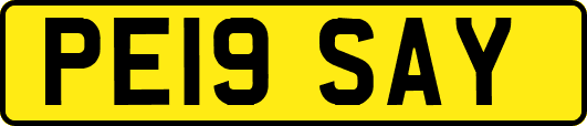 PE19SAY