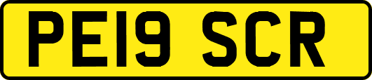 PE19SCR