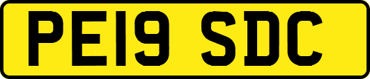 PE19SDC