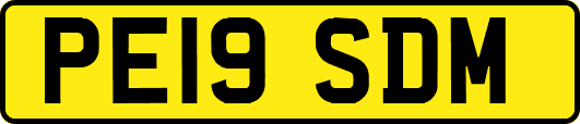 PE19SDM