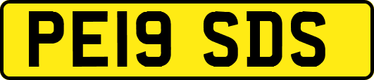 PE19SDS
