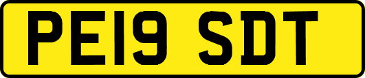 PE19SDT