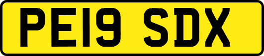 PE19SDX