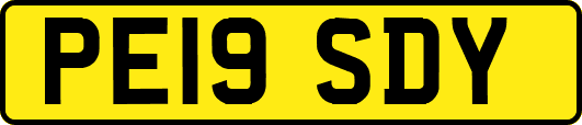 PE19SDY