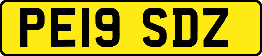 PE19SDZ