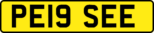 PE19SEE
