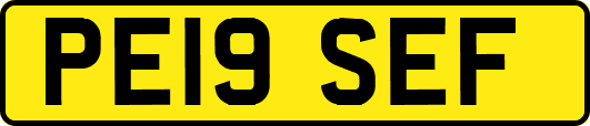 PE19SEF