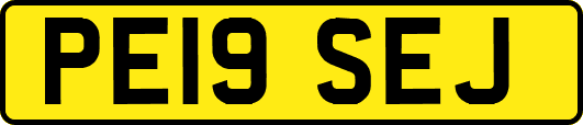 PE19SEJ