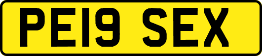 PE19SEX