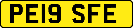 PE19SFE