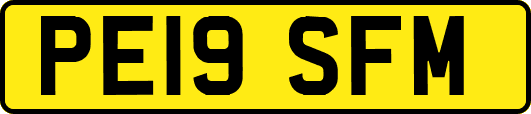 PE19SFM