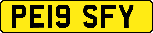 PE19SFY