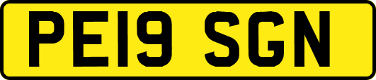 PE19SGN