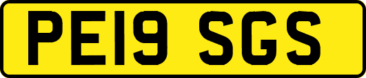 PE19SGS