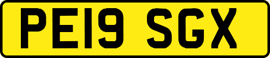 PE19SGX