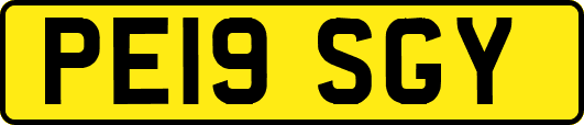 PE19SGY
